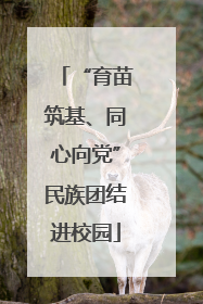 “育苗筑基、同心向党”民族团结进校园
