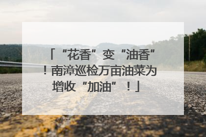 “花香”变“油香”！南漳巡检万亩油菜为增收“加油”！