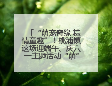 “萌宠奇缘 粽情童趣”！桃浦镇这场迎端午、庆六一主题活动“萌”翻全场～