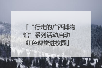 “行走的广西博物馆”系列活动启动 红色课堂进校园