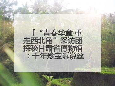 “青春华章·重走西北角”采访团探秘甘肃省博物馆：千年珍宝诉说丝路辉煌