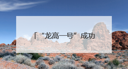 “龙高一号”成功发射！又见深圳少年手搓火箭上天