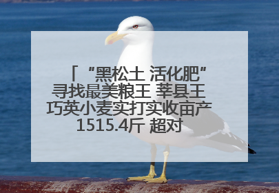 “黑松土 活化肥”寻找最美粮王 莘县王巧英小麦实打实收亩产1515.4斤 超对照田144斤！