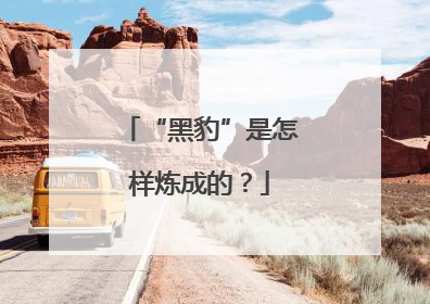 “黑豹”是怎样炼成的？