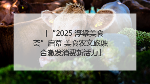 “2025 浮梁美食荟”启幕 美食农文旅融合激发消费新活力