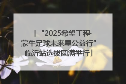 “2025希望工程·蒙牛足球未来星公益行”临沂站选拔圆满举行