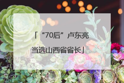 “70后”卢东亮当选山西省省长