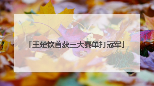 王楚钦首获三大赛单打冠军
