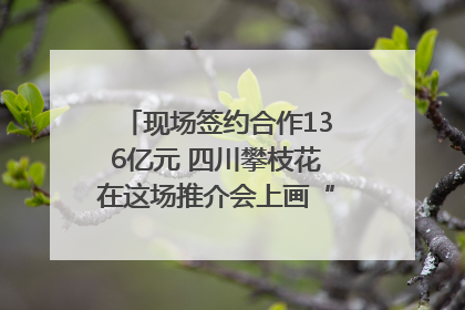 现场签约合作136亿元 四川攀枝花在这场推介会上画“图谱”列“清单”