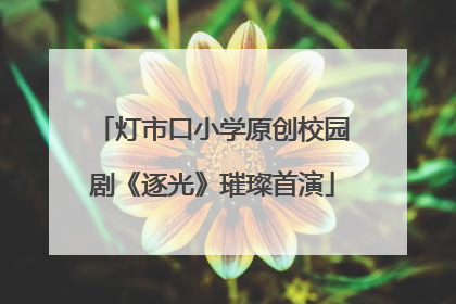 灯市口小学原创校园剧《逐光》璀璨首演