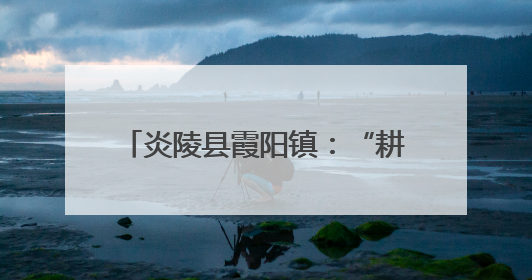 炎陵县霞阳镇：“耕”新聚力护粮仓 筑牢粮食安全“压舱石”