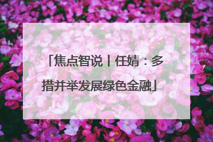 焦点智说丨任婧：多措并举发展绿色金融