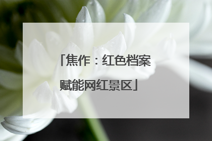 焦作：红色档案赋能网红景区