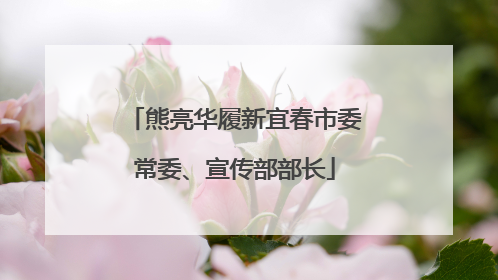 熊亮华履新宜春市委常委、宣传部部长
