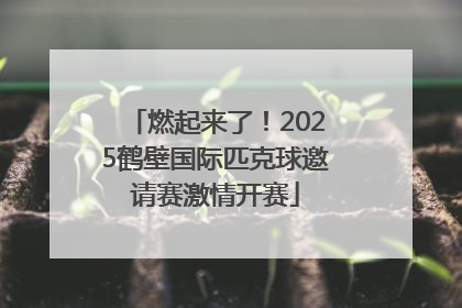 燃起来了！2025鹤壁国际匹克球邀请赛激情开赛