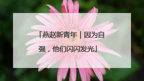 燕赵新青年｜因为自强，他们闪闪发光