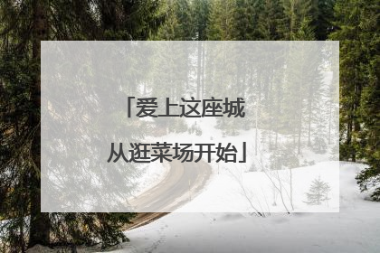 爱上这座城 从逛菜场开始