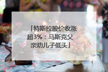 特斯拉股价收涨超3%：马斯克父亲劝儿子低头