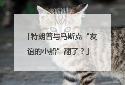 特朗普与马斯克“友谊的小船”翻了？