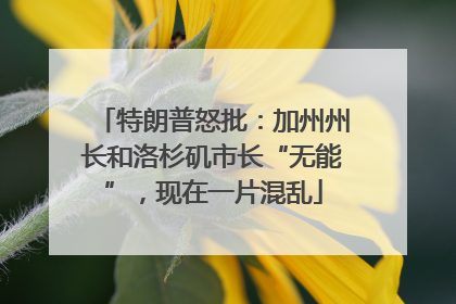 特朗普怒批：加州州长和洛杉矶市长“无能”，现在一片混乱