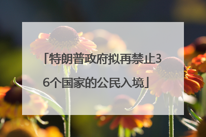 特朗普政府拟再禁止36个国家的公民入境