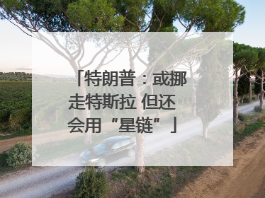 特朗普：或挪走特斯拉 但还会用“星链”