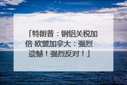 特朗普：钢铝关税加倍 欧盟加拿大：强烈遗憾！强烈反对！