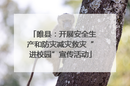 睢县：开展安全生产和防灾减灾救灾“进校园”宣传活动