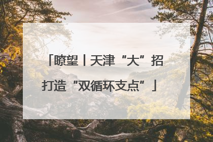 瞭望丨天津“大”招打造“双循环支点”