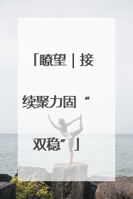 瞭望｜接续聚力固“双稳”
