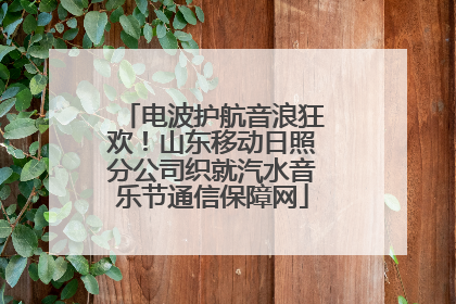 电波护航音浪狂欢！山东移动日照分公司织就汽水音乐节通信保障网