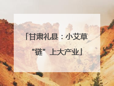 甘肃礼县：小艾草“链”上大产业