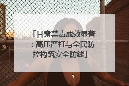 甘肃禁毒成效显著：高压严打与全民防控构筑安全防线
