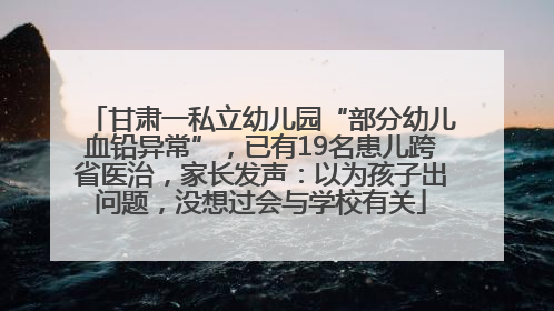 甘肃一私立幼儿园“部分幼儿血铅异常”，已有19名患儿跨省医治，家长发声：以为孩子出问题，没想过会与学校有关