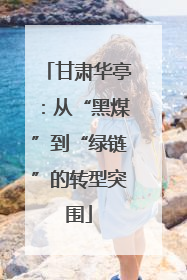 甘肃华亭：从“黑煤”到“绿链”的转型突围
