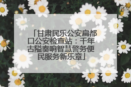 甘肃民乐公安扁都口公安检查站：千年古隘奏响智慧警务便民服务新乐章