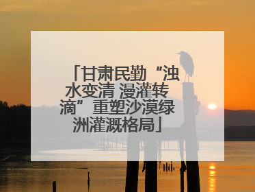 甘肃民勤“浊水变清 漫灌转滴”重塑沙漠绿洲灌溉格局