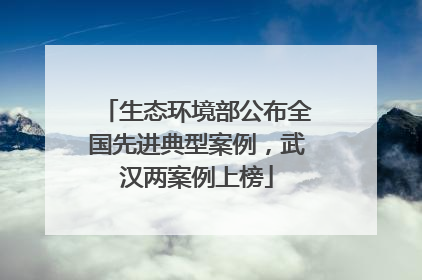 生态环境部公布全国先进典型案例，武汉两案例上榜