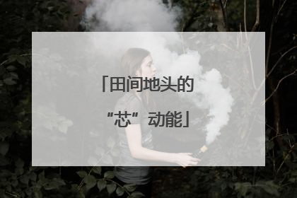 田间地头的“芯”动能