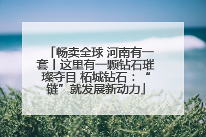 畅卖全球 河南有一套丨这里有一颗钻石璀璨夺目 柘城钻石：“链”就发展新动力