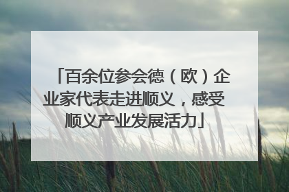 百余位参会德（欧）企业家代表走进顺义，感受顺义产业发展活力