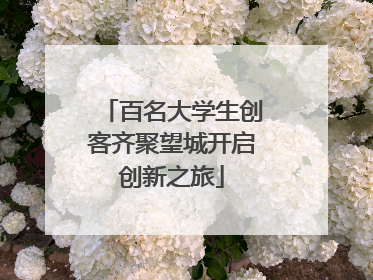 百名大学生创客齐聚望城开启创新之旅
