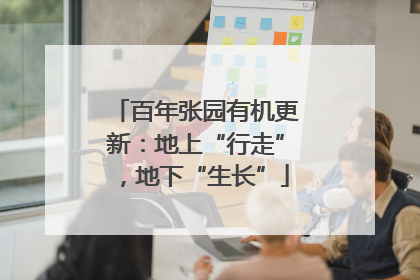 百年张园有机更新：地上“行走”，地下“生长”