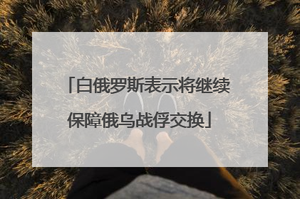 白俄罗斯表示将继续保障俄乌战俘交换
