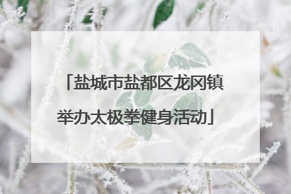 盐城市盐都区龙冈镇举办太极拳健身活动