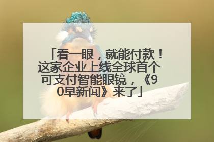 看一眼，就能付款！这家企业上线全球首个可支付智能眼镜，《90早新闻》来了