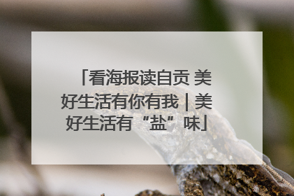 看海报读自贡 美好生活有你有我｜美好生活有“盐”味