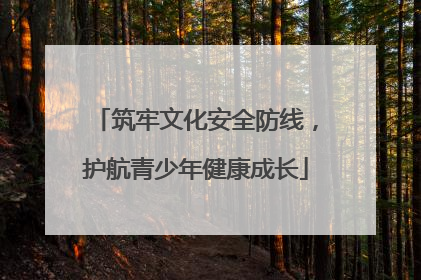 筑牢文化安全防线，护航青少年健康成长