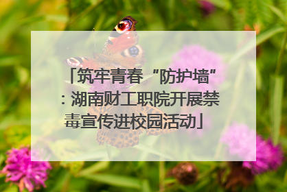 筑牢青春“防护墙”：湖南财工职院开展禁毒宣传进校园活动
