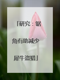 研究：锯角有助减少犀牛盗猎